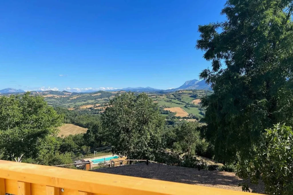Colpo di fortuna views 19