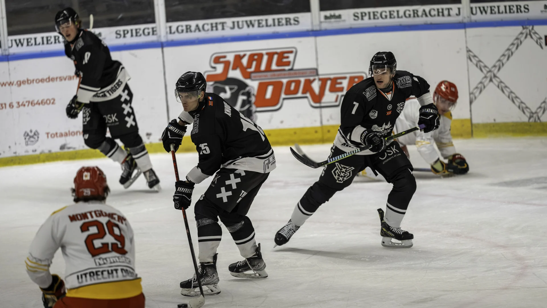 Amsterdamtigers beeld 3